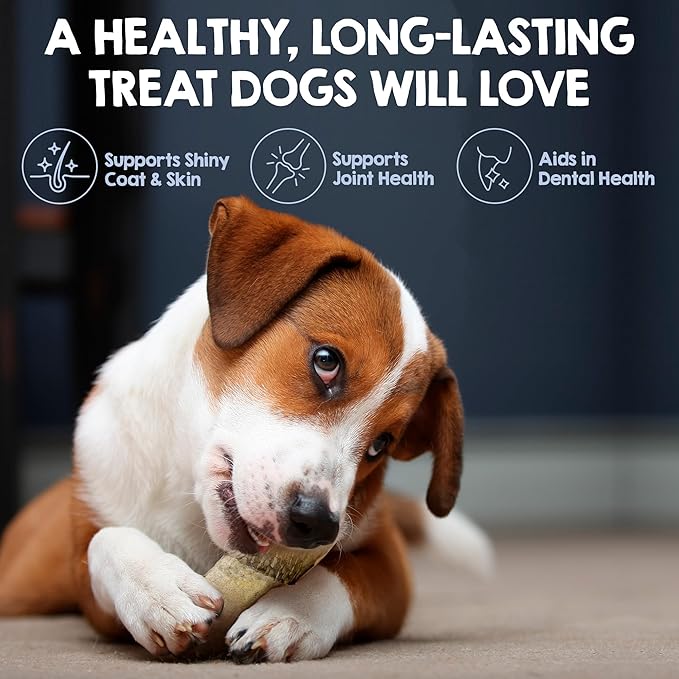 Riley's Cod Skins for Dogs - Air Dried Single Ingredient Dog Treats - Short, Hand Wrapped Cod Skin Dog Treats - Sustainably Caught in Iceland - 3 Pack 5 inch Chew Sticks
