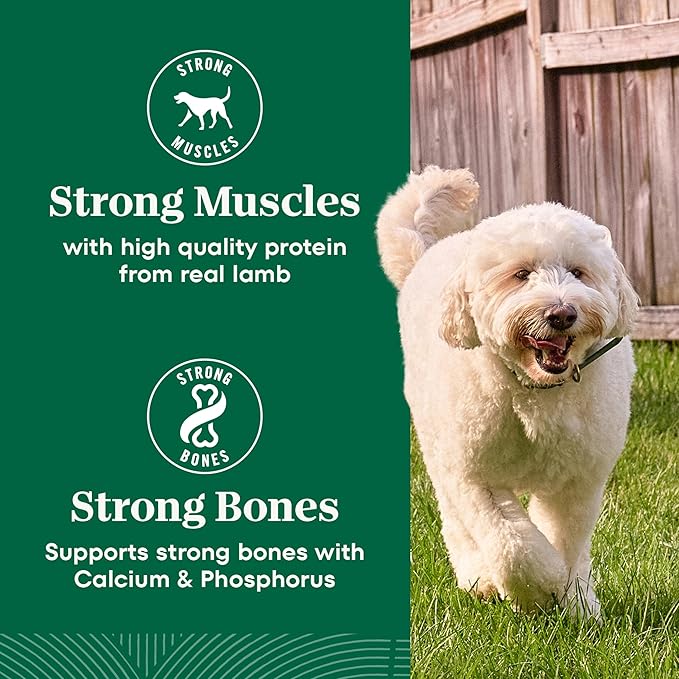 Nutro Natural Choice Lamb & Brown Rice Adult Dry Dog Food Recipe, 36 lb. Bag