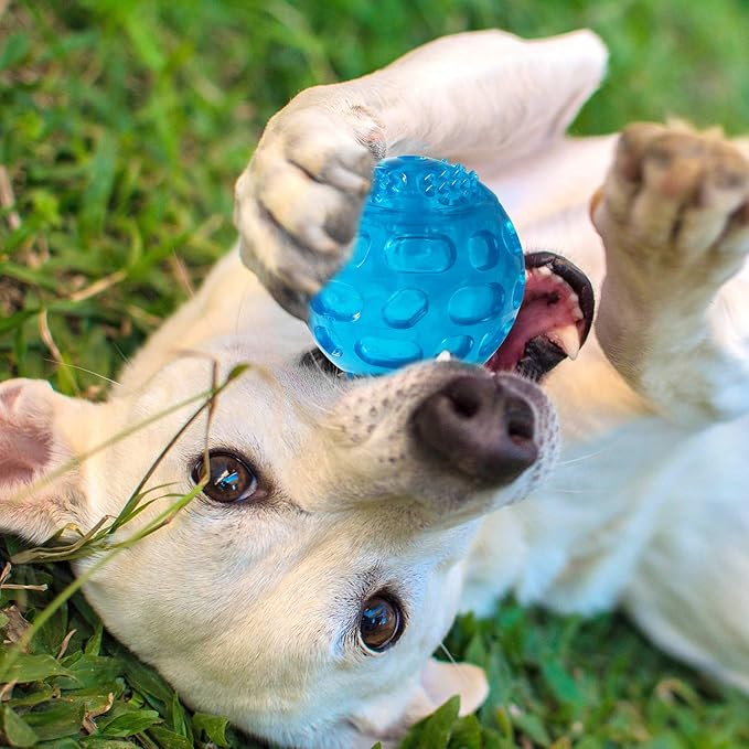3'' Squeaky Dog Toy Balls for Lagre Medium Breed, Indestructible Dog Balls for Playing, Fetching & Retrieving, Durable Aggressive Chewers, 2 PCS Blue+Purple