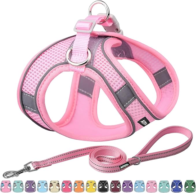 AIITLE Step in Dog Harness and Leash Set - Summer No Pull Escape Proof Vest Harnesses with Soft Mesh and Reflective Bands, Adjustable Pet Outdoor Harnesses for Small and Medium Dogs Pure Pink M