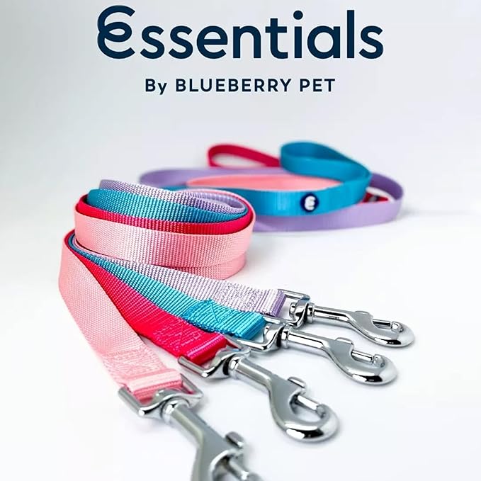Blueberry Pet Essentials Fired Brick Dog Leash for Small -5' * 5/8" Dogs | Heavy Duty Nylon Lead | Lightweight Puppy & Cat Leash for Walking & Training