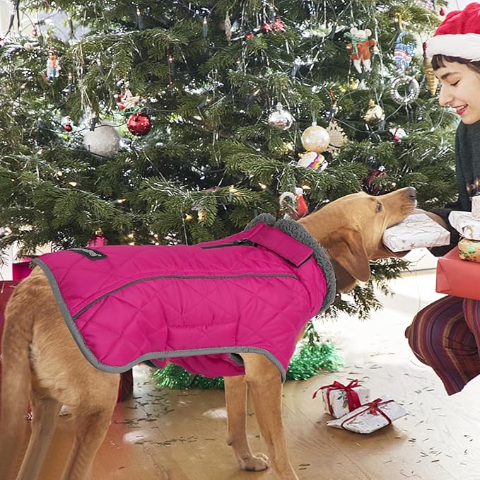 Fragralley Dog Coat Large, Waterproof Dog Jacket with Warm Fleece Lining, Adjustable Reflective Dogs Winter Coat, Turtleneck Pet Coats for Cold Weather (Rose Pink L)