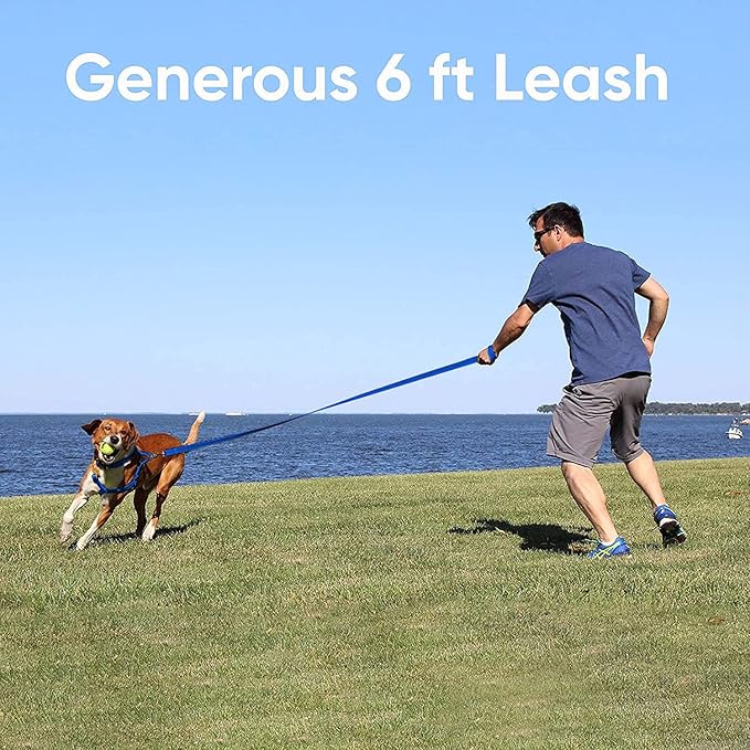 Pawtitas 6 FT Recycled Dog Leash with Reflective Stitched Thread Stitched on Side| Small Reflective Dog Leash Made from Plastic Bottles Collected from Oceans – Blue 6 ft Dog Leash