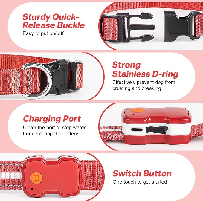 PcEoTllar Light Up Dog Collars, Led Dog Collar, Rechargeable, Night Walking, Waterproof, Glow in The Dark Dog Collars Light for Large Small Medium Dogs, Red m