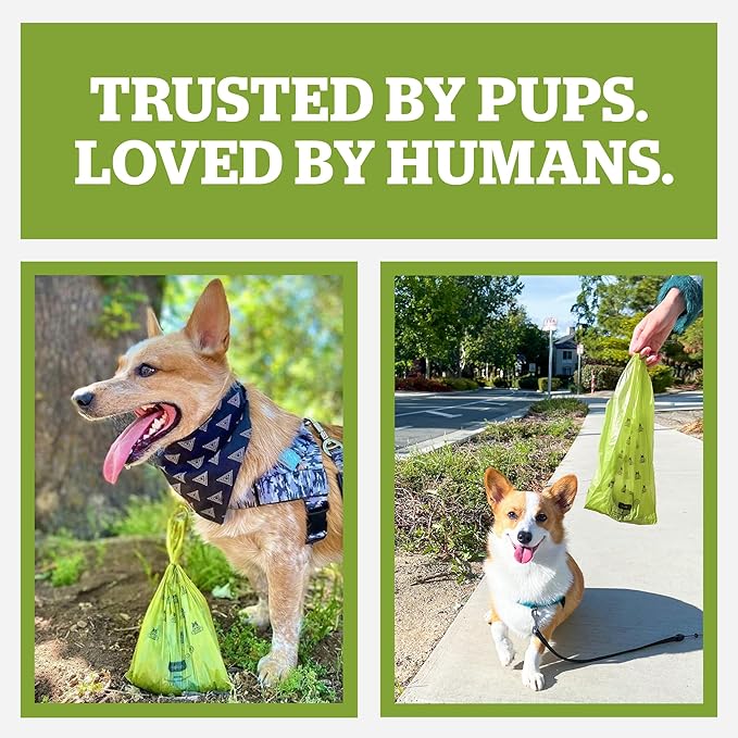 Pogi’s Dog Poop Bags – Leak-Proof & Extra Thick Pet Waste Bags (Fresh Scent, 60 Rolls, 900-Count)
