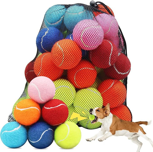 Swingers Squeaky Tennis Balls for Dogs,2.5 inch Training Tennis Balls,Exercise Ball for Pet Dog with Mesh Carry Bag Easy to Transport (Multicolor, 60 Pack)