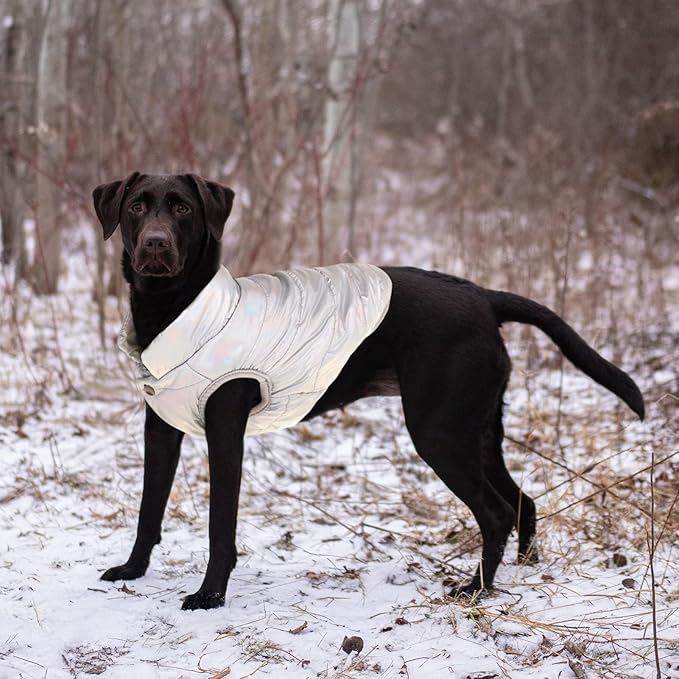 ASENKU Dog Winter Coat - Waterproof Windproof Dog Jacket, Warm Snowproof Doggie Puffer Vest for Cold Weather, Lightweight Snow Coats for Small Medium Large Dogs (Silver, S)