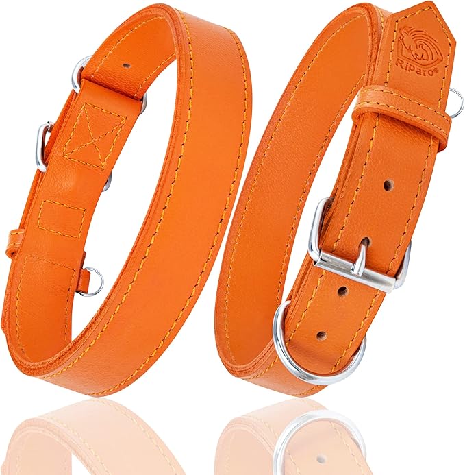 Riparo Dog Collar - Genuine Leather Dog Collars - Heavy Duty Dog Collars for Medium Large and Extra Large Dog Breeds (XL: 1.5” Wide for 22” - 26” Neck, Orange)