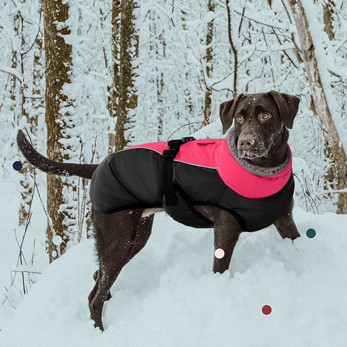 IECOii Extra Warm Dog Coat - Reflective Jacket with Fleece Turtleneck for Cold Weather - Soft Winter Coat for Small to Extra Large Dogs