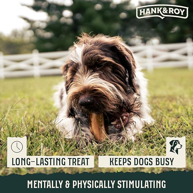 Hank & Roy All-Natural, Single-Ingredient 8-10” Beef Rib Bones for Dogs, Long Lasting, Engaging Dog Bones, Individually Wrapped for Odor Control and Freshness