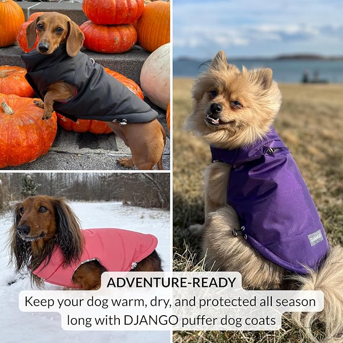 DJANGO Puffer Dog Coat – Warm Winter Dog Jacket & Water-Repellent Insulated Puffer Vest with Striped Lining, Harness Hole, Adjustable Fit for Small & Medium Dogs, Dachshunds – Rose Petal Pink, Medium