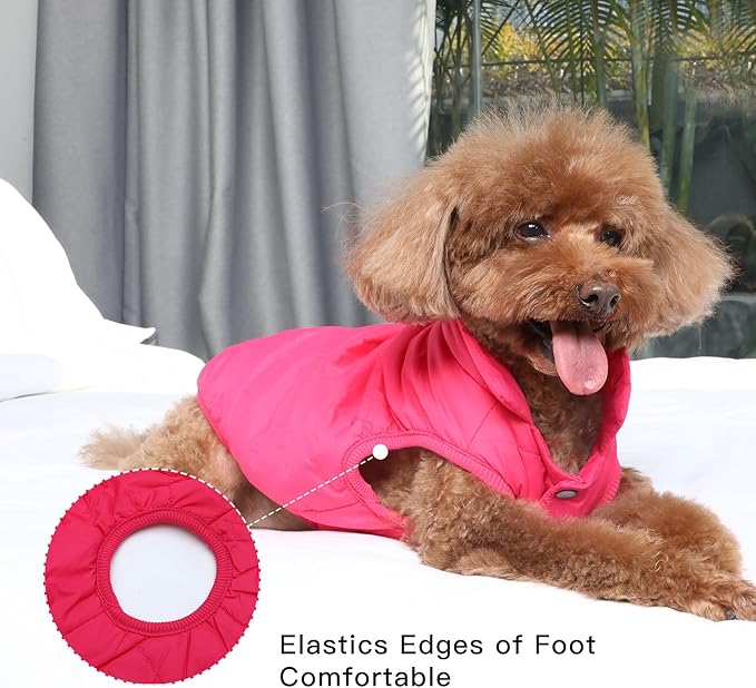 2 Layers Fleece Lined Warm Dog Jacket for Puppy Winter Cold Weather,Soft Windproof Small Dog Coat,Pink XS