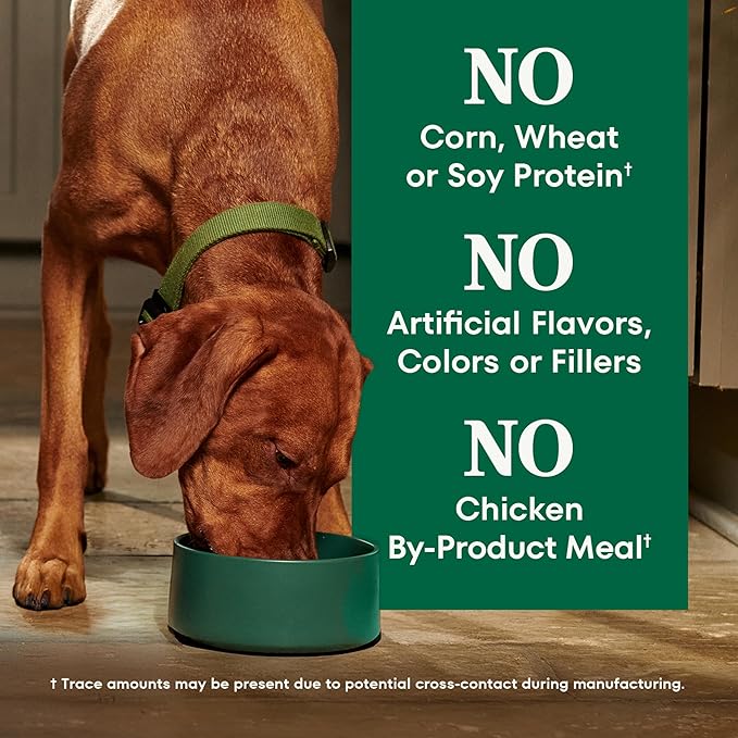 Nutro Natural Choice Adult Dry Dog Food, Beef and Brown Rice Recipe, 12 lbs.
