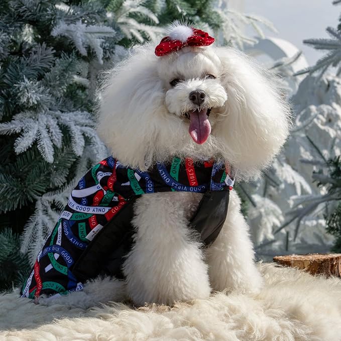 CuteBone Winter Dog Jacket, Windproof Reversible Vest with Leash Hole, Thick Winter Coat for Small, Medium & Large Dogs