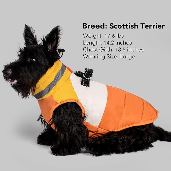azuza Dog Jacket for Small Dogs Waterproof Dog Coat with Reflective Strips and Harness Built in Warm Fleece Dogs Winter Coat Windproof with Back Zipper, Orange M
