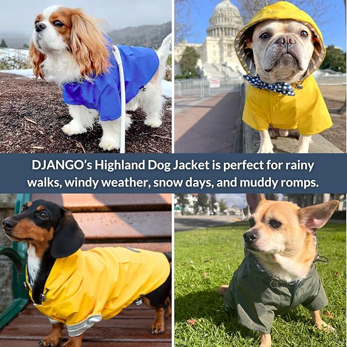 DJANGO Highland Dog Jacket & Raincoat – Water-Repellent, Lined Dog Coat with Hood, Adjustable Fit & Harness Hole – Lightweight Rain & Wind Jacket for Small & Medium Dogs up to 30 lbs (Yellow, Medium)