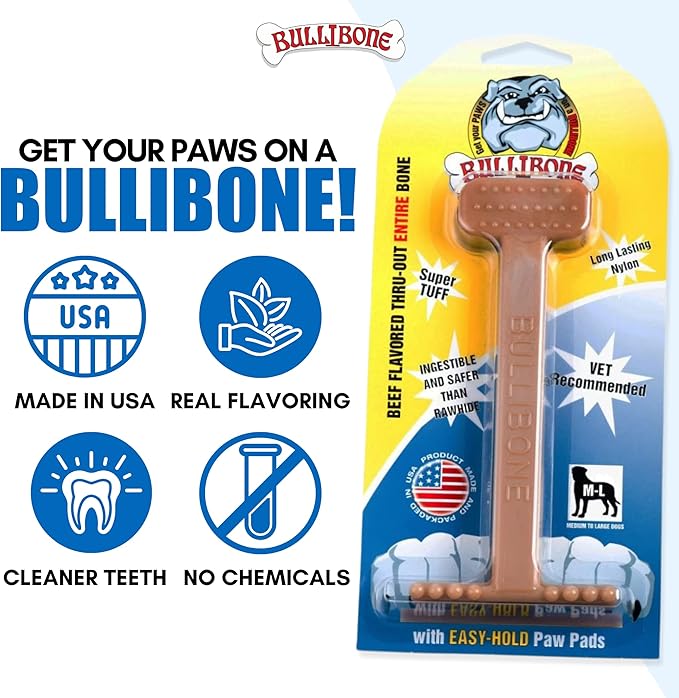 Bullibone Nylon Dog Chew Toy Nylon Bone - Improves Dental Hygiene, Easy to Grip Bottom, and Permeated with Flavor (Beef, Small - Single)