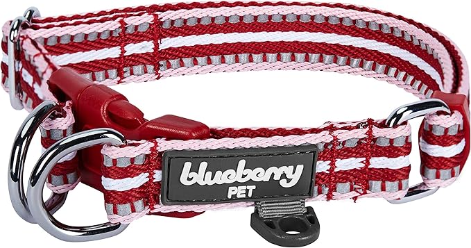 Blueberry Pet Safety Dog Collar with Dual D-Rings | 3M Reflective Multi-Colored Adjustable Collar in Marsala Red and Pink | Soft Nylon Dog Collar for Active Small Dogs