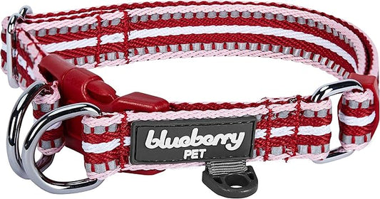 Blueberry Pet Safety Dog Collar with Dual D-Rings | 3M Reflective Multi-Colored Adjustable Collar in Marsala Red and Pink | Soft Nylon Dog Collar for Active Large Dogs