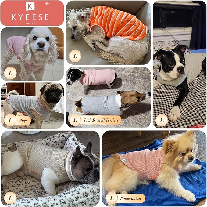 KYEESE 2Pack Dog Shirts Waffle for Small Dogs Stretchy Pet T-Shirts Lightweight Dog Tank Top Sleeveless Dogs Vest Breathable, Large, Blue+Grey