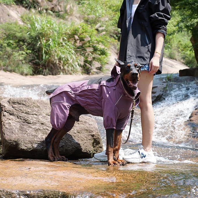 LOVELONGLONG Waterproof Dog Raincoat with Removable Hood – Outdoor Full Body Dog Jacket, Windproof Snowproof Shell Suit – All Season Pet Rain Gear Plum Purple XXL