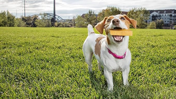 peaksNpaws Premium Yak Cheese Dog Treats - Natural Yak Chews from Himalayan Mountains - Grain Free, Lactose Free - Easily Digestible, 100% Eco-Friendly Packaging (1 Lb. Bag)