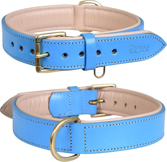 Leather Dog Collar for Medium Dogs, Blue, 1 Inch Wide, Genuine Leather, Heavy Duty with Soft Inner Padding, Comfortable and Durable (Medium (Fit Neck Size 14.5"-18.5"), Blue)
