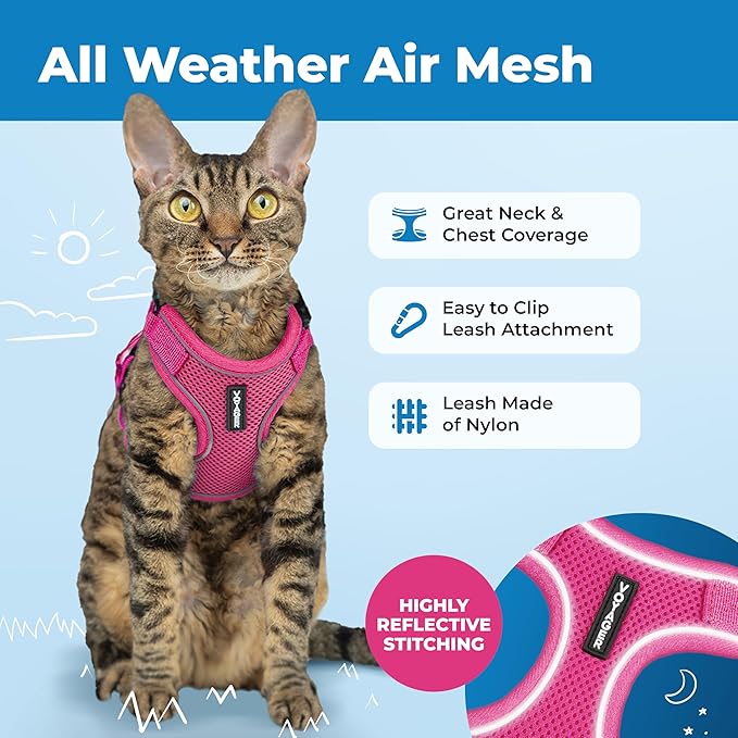 Voyager Escape Proof Cat Harness and Leash Set with Reflective Stitching, Neoprene Handle 5ft - Supports Small, Medium and Large Cats, Kittens for Walking by Best Pet Supplies - Fuchsia, XXS