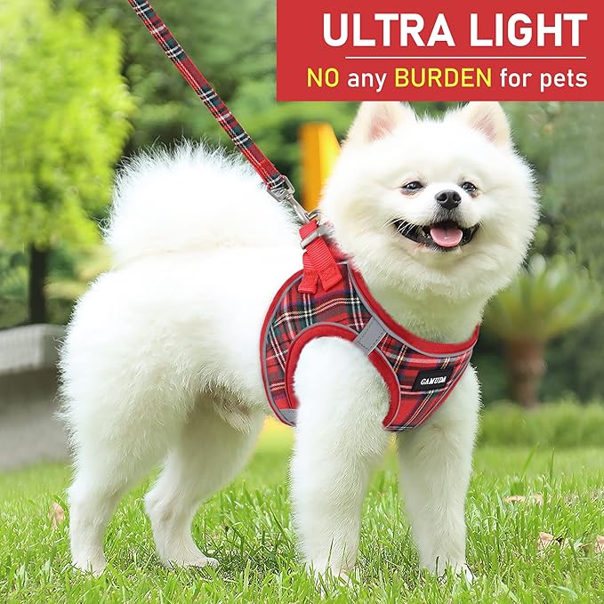 GAMUDA Small Dog Harness Collar and Leash Set, Step in No Chock No Pull Soft Mesh Adjustable Dog Vest Harnesses Plaid Reflective for Dogs Puppy Cats Kitten Rabbit (Red, XXS)