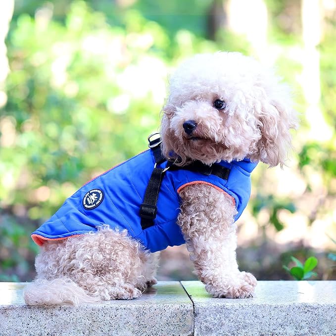 Norbi Dog Coat - Winter Jacket with Built-in Harness, Adjustable for Small to Large Dogs, Warm for Cold Weather