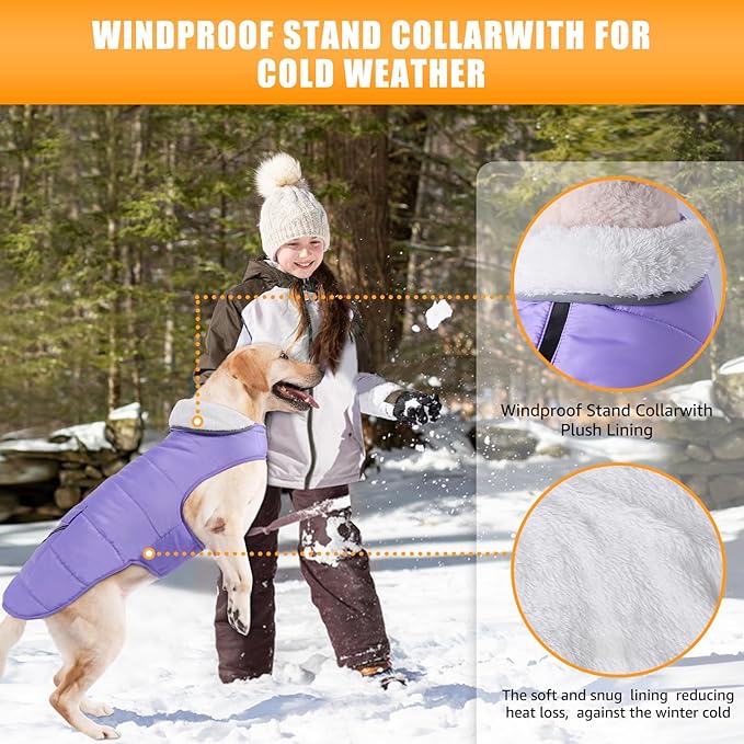 iBuddy Dog Winter Jackets with Fleece Vest,Waterproof Warm Dog Snow Jacket Windproof, Reflective Adjustable Pet Dogs Cold Winter Coat for Large Dogs Girl Boy