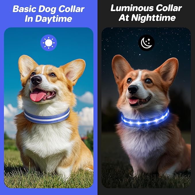 PcEoTllar Light Up Dog Collars, Led Dog Collar, Rechargeable, Night Walking, Waterproof, Glow in The Dark Dog Collars Light for Large Small Medium Dogs, Blue s