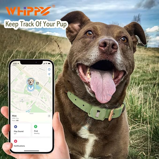 WHIPPY Airtag Leather Dog Collar GPS Tracker Air Tag Puppy Collar Adjustable Soft Leather Padded Dog Collar with Airtag Holder Case for Small Medium Large Dog Pet Backpack,Green