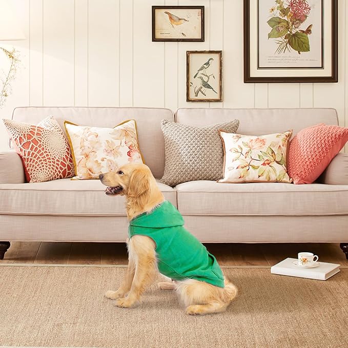 EXPAWLORER Dog Hoodie Fleece Sweater Vest, Hooded Dog Sweatshirt Fall Winter Pet Clothes with Leash Hole, Sleeveless Warm Cozy Puppy Clothing for Cat Small Medium Large Dogs Girl Boy, Green XXL