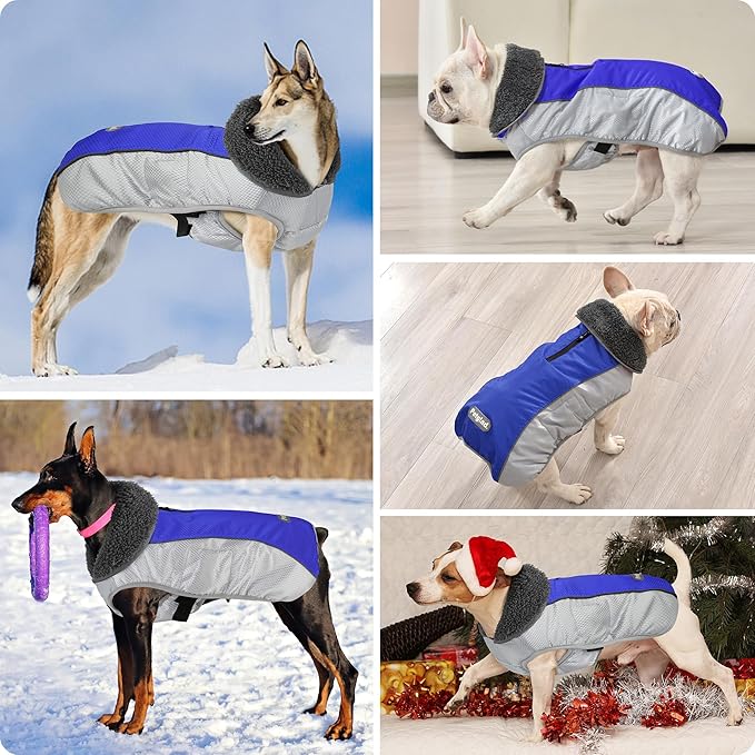Dog Coat, Waterproof Ripstop Dog Winter Jacket with Leash Hole, Reflective Adjustable Warm Pet Fleece Snow Sweater for Small Medium Large Dogs - Blue, M
