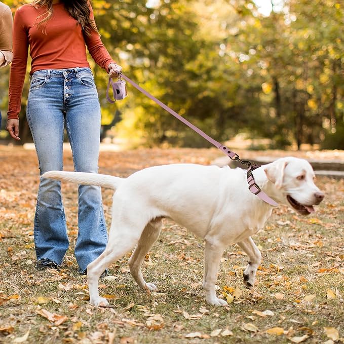 Wisedog Dog Collar and Leash Set, Waterproof Adjustable Puppy Collars with Cute Tag 6FT Dog Leash with Poop Bag for Small Medium Large Dogs (L, Pale Pinkish Purple)