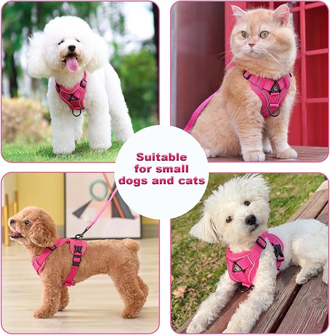SOLMOONY Small Dog Harness,Soft Mesh Puppy Harness and Leash Set,No Escape Cat Harnesses for Training Walking,Reflective Adjustable Puppy Vest for Small Medium Dogs, Cats (Hot Pink, S)