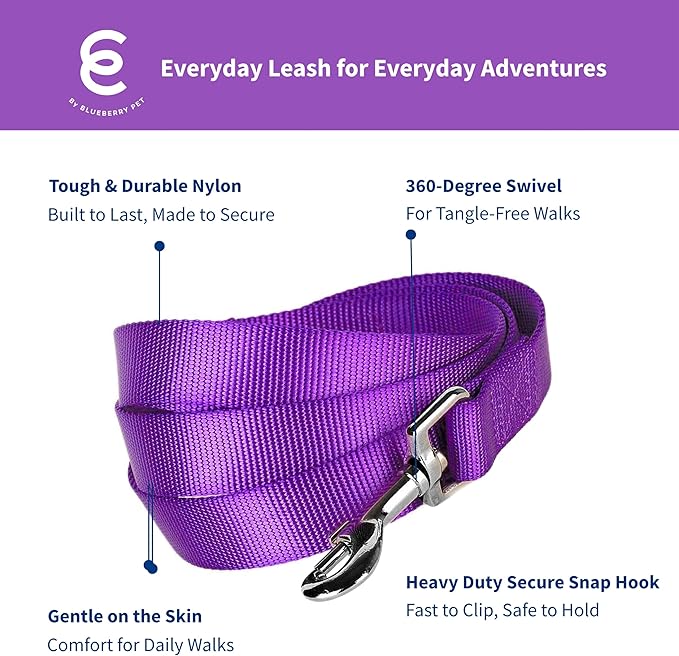 Blueberry Pet Essentials Dark Orchid Dog Leash for Small -5' * 5/8" Dogs | Heavy Duty Nylon Lead | Lightweight Puppy & Cat Leash for Walking & Training