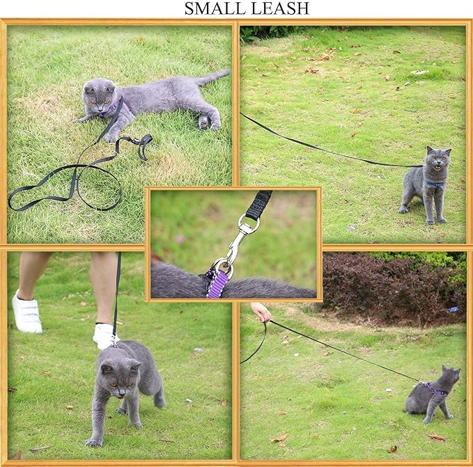 AMAGOOD 6 FT Puppy/Dog Leashes, Strong Traditional Style Leash with Easy to Use Collar Hook,Dog Lead Great for Small and Medium and Large (Black,5/8" x 6 Feet)