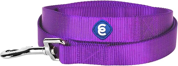 Blueberry Pet Essentials Dark Orchid Dog Leash for Medium - 5' * 3/4" Dogs | Heavy Duty Nylon Lead | Lightweight Puppy & Cat Leash for Walking & Training
