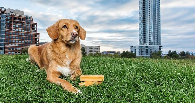 peaksNpaws Yak Cheese, High Protein, Himalayan Dogs Chews, Natural Dog Treats, Lactose Free, Long Lasting Dogs Treat for Aggressive Chewers Under 35 lbs 3 Medium Chew Sticks
