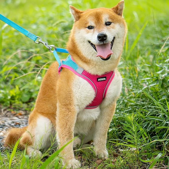 AIITLE Escape Proof Dog Harness - Step in Adjustable Dog Harness No Choke Over with Breathable Mesh and Quick-Release Buckle for Summer- Outdoor Walking, Camping, Training for Medium Dogs Hot Pink XL