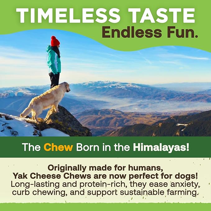EcoKind Premium Gold Yak Cheese Himalayan Dog Chews, Dog Treats Large Breed, All Natural, High Protein, for Aggressive Chewers, Large - 8+ Chews (2 lb)
