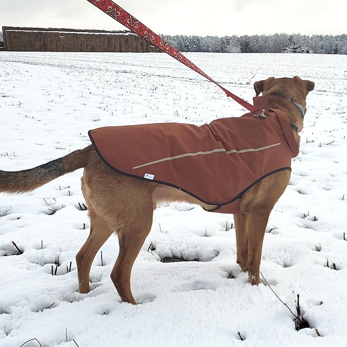 Mile High Life Dog Raincoat, Adjustable Waterproof Reflective Rain Jacket for Small Medium Large Dogs, Lightweight Breathable Pet Rain Coat with Leash Hole(Brown,XS Chest 17-23")
