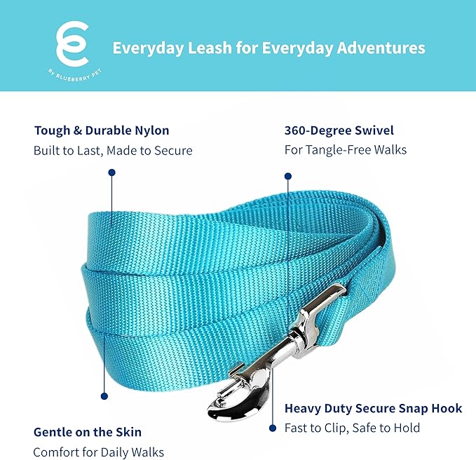 Blueberry Pet Essentials Turquoise Dog Leash for Small -5' * 5/8" Dogs | Heavy Duty Nylon Lead | Lightweight Puppy & Cat Leash for Walking & Training