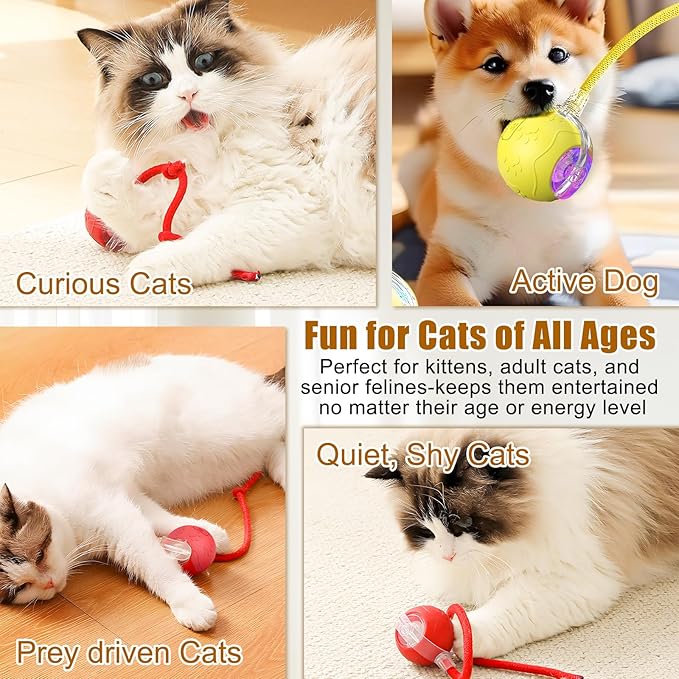 Interactive Cat Toy Balls,2025 New Interactive Rolling Cat Balls,Smart Automatic Rolling Pet Ball,Automatic Obstacle Avoidance Cat Toy with Rope for Cat & Dog (RED)