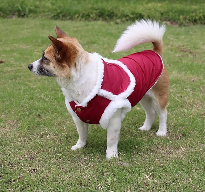 Shawl Design Fleece Lined Warm Dog Jacket for Winter Cold Weather,Soft Windproof Large Dog Coat,Red XXL