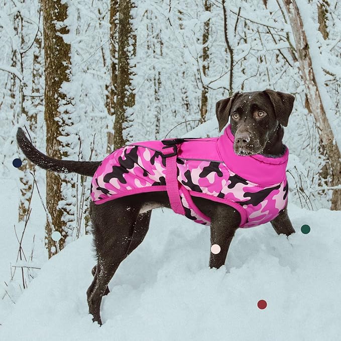 IECOii Extra Warm Reflective Adjustable Dog Jacket with Buckle Fleece Turtleneck for Cold Weather, Soft Winter Coat for Small, Medium, Extra Large Dogs