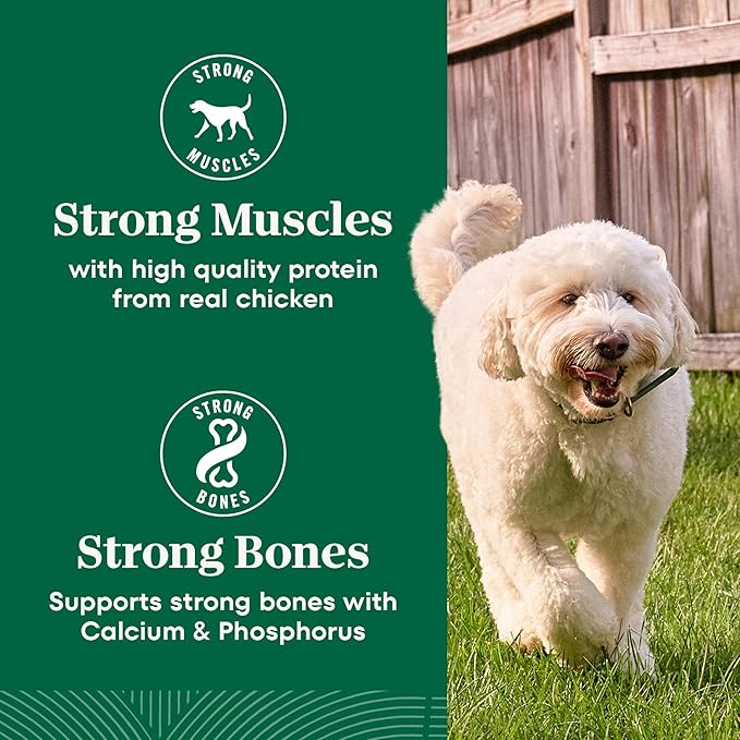 Nutro Natural Choice Chicken & Brown Rice Adult Dry Dog Food Recipe, 30 lb. Bag
