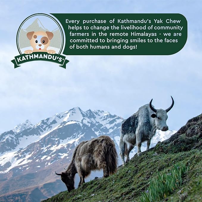 KATHMANDU'S 100% Natural Yak Cheese Himalayan Dog Chews - All Natural and Protein-Rich Nutrition Dog Treats, Long Lasting Chews for Aggressive Chewers, Odor Free Yak Chew | Large/X Large (Pack of 8)